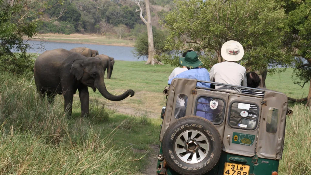 Safari en Yala — Sri Lanka y Maldivas