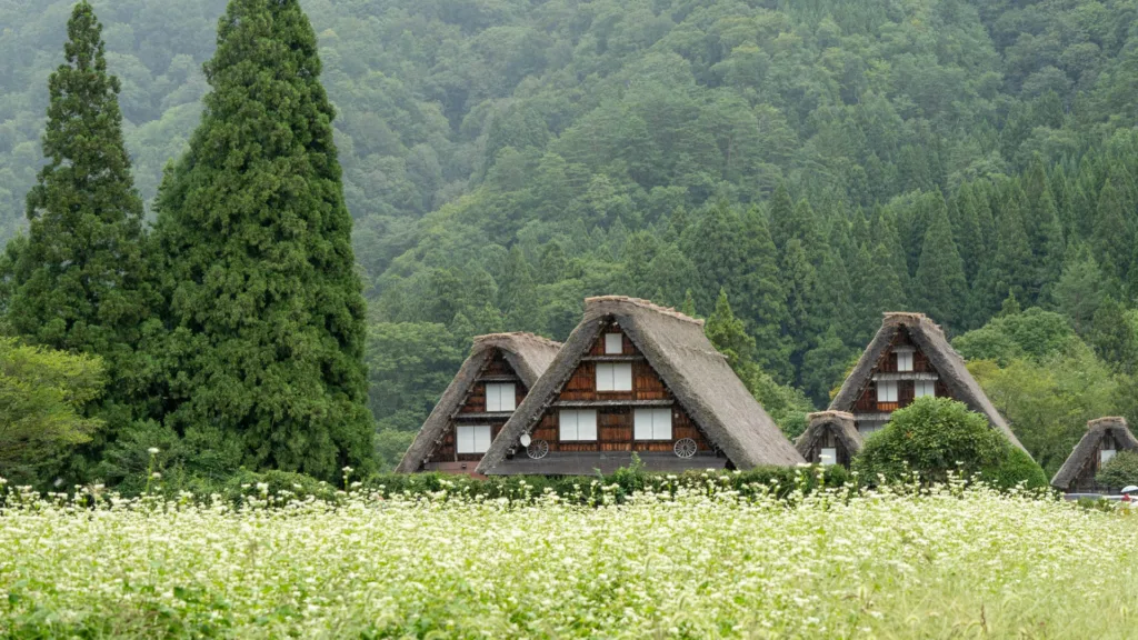 TAKAYAMA – SHIRAKAWAGO – HAKONE — Japón Rascacielos y Tatamis