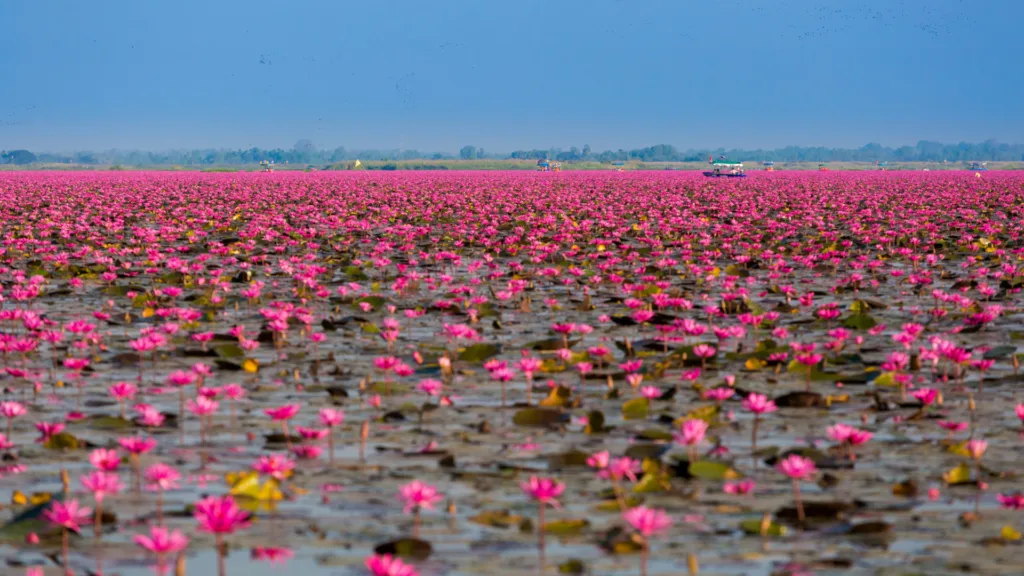 Udon Thani — Tailandia, La Ruta de los Antiguos Reinos
