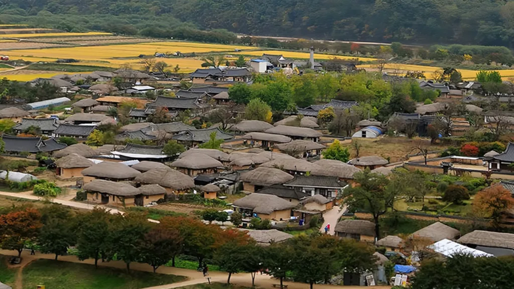 Andon — Corea del Sur al Completo
