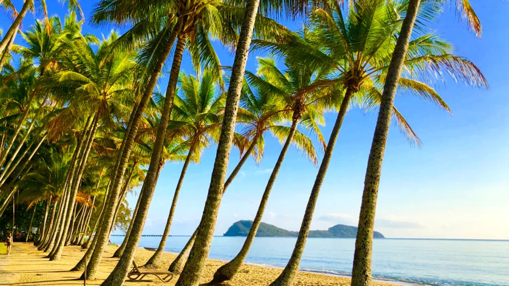 Palm Cove — Paisajes de Australia