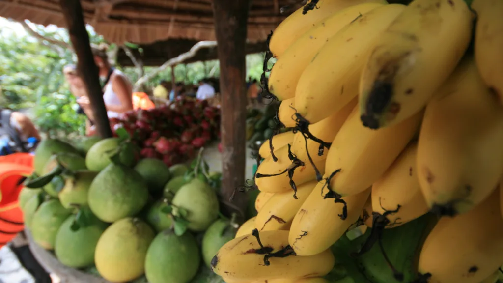 VINH LONG – BEN TRE — Vietnam y Camboya: Crucero por el Mekong