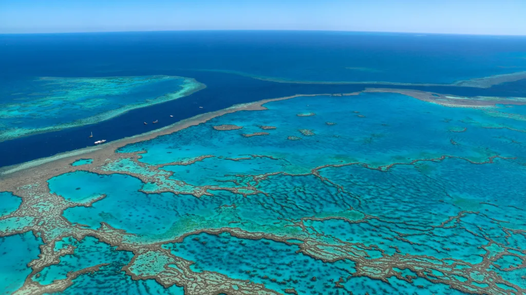 Gran Barrera de Coral, Cairns — Australia con Tasmania