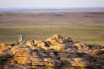 20 jul. Baga Gazriin Chuluu — Mongolia con Festival Naadam