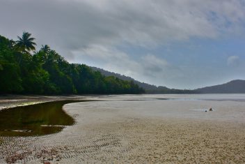 Daintree y Cape Tribulation — Australia Fly & Drive