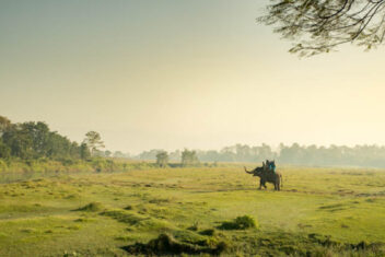 P.N. Chitwan — Gran Tour de Nepal y Bután