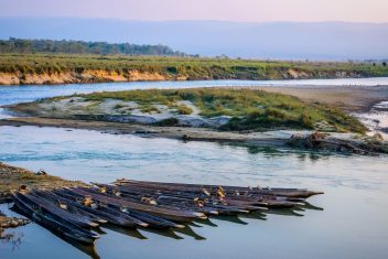 P.N. Chitwan — India Fascinante y Nepal