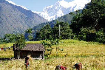 Trek Dhampus — Nepal Cultural y Trekking