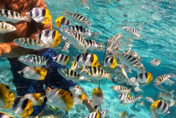 Bora Bora — Polinesia Francesa Esencial