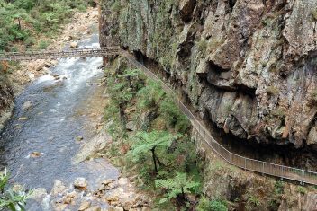 Karangahake Gorge, Península de Coromandel — Nueva Zelanda Isla Norte Fly & Drive