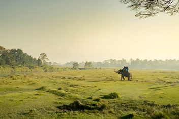 P.N. Chitwan — India Fascinante y Nepal