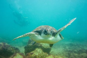 Playa de Hikkaduwa — Explore Sri Lanka con playas Suroeste