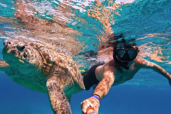 SENGGIGI – G. NANGGU – G. SUDAK – G. KEDIS – SENGGIGI — Bali Circuito Interior y Lombok