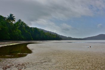 Daintree y Cape Tribulation — Gran Tour de Australia