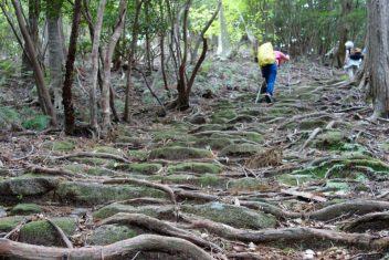 TOBA – ISE – KUMANO – NACHI KATSUURA — Japón: Camino de Kumano y Monte Koya