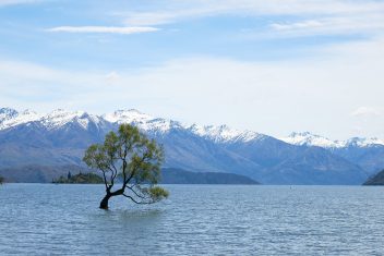 Wanaka — Nueva Zelanda al Completo