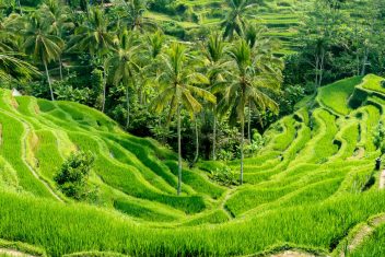 CANDIDASA – UBUD — Sumatra, Java y Bali