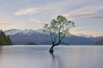 Wanaka — La Tierra Media