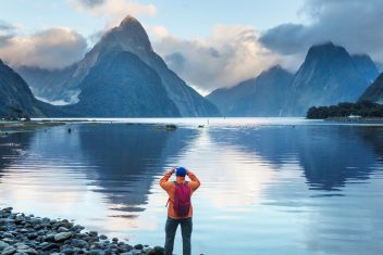 Milford Sound — Wallabies y Kiwis