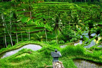 DENPASAR (BALI ) — Estancia en Ubud y playas de Bali