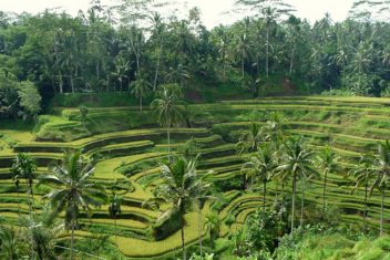 DENPASAR – UBUD — Salidas En Grupo – Bali Circuito Interior con Gili