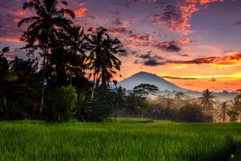 Ubud — Luna de Miel en Indonesia