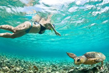 Eco Snorkeling, Tahití — Polinesia Auténtica