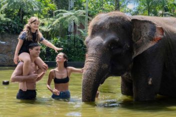 Mason Elephant Park, Ubud — Bali en Familia