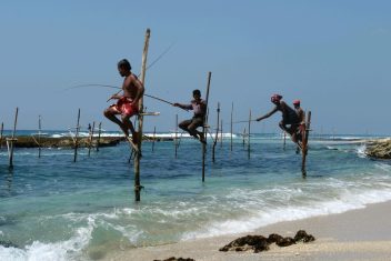 pescadores zancudos, Welligama — Luna de Miel en Sri Lanka y Maldivas