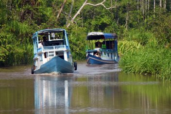 YAKARTA – PANGKALAN BUN – TANJUNG PUTTING — Indonesia Salvaje