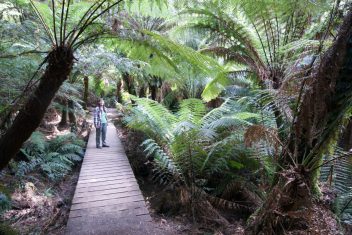 Great Otway National Park — Australia Fly & Drive