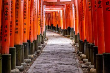KYOTO — Japón por libre en bus