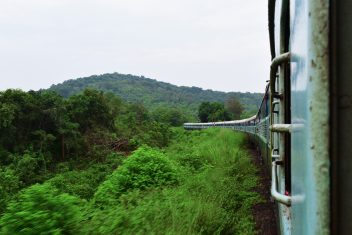Tren, Madhya Pradesh — India Parques Naturales