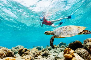 Bohol — Filipinas con El Nido y Puerto Princesa