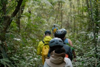 BUKIT LAWANG — Gran Tour de Indonesia