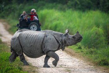Parque Nacional de Kaziranga — Assam: Crucero por el Brahmaputra