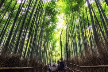 TAKARAZUKA – KYOTO — Okini Japón