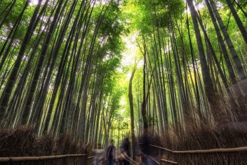 KYOTO — Japón por Libre 12 días