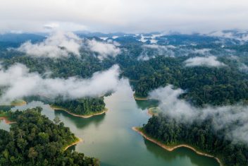 Parque Estatal Royal Belum, Belum Rainforest — Malasia al Completo