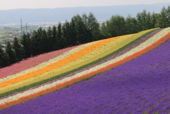 SAPPORO – BIEI – FURANO – SAPPORO — Hokkaido, la Gran Isla del Norte