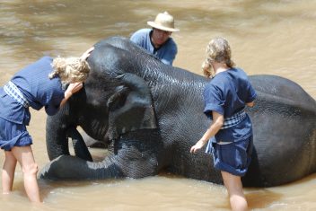 CHIANG MAI — Tailandia en familia con Phuket