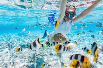 KOH TAO — Bangkok y Koh Tao