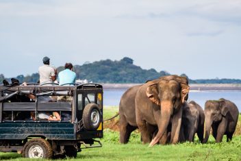 Parque Nacional de Yala — Explore Sri Lanka