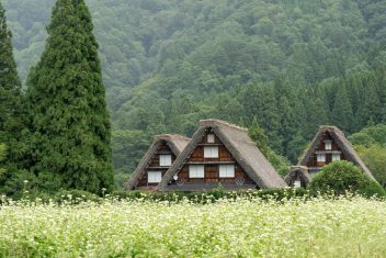 TAKAYAMA – SHIRAKAWAGO – HAKONE — Japón Rascacielos y Tatamis