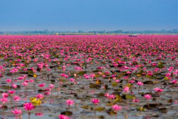 Udon Thani — Tailandia, La Ruta de los Antiguos Reinos
