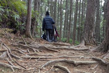 KOYASAN – KUMANO KODO – KAWAYU ONSEN — Gran Tour de Japón