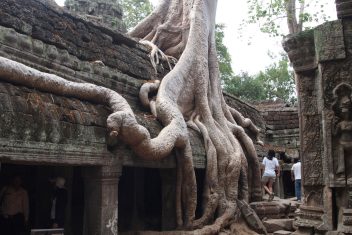 Ta Prohm, Siem Reap — Camboya al Completo