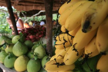 VINH LONG – BEN TRE — Vietnam y Camboya: Crucero por el Mekong